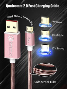 引領科技潮流，專業計算機軟硬件技術開發解決方案